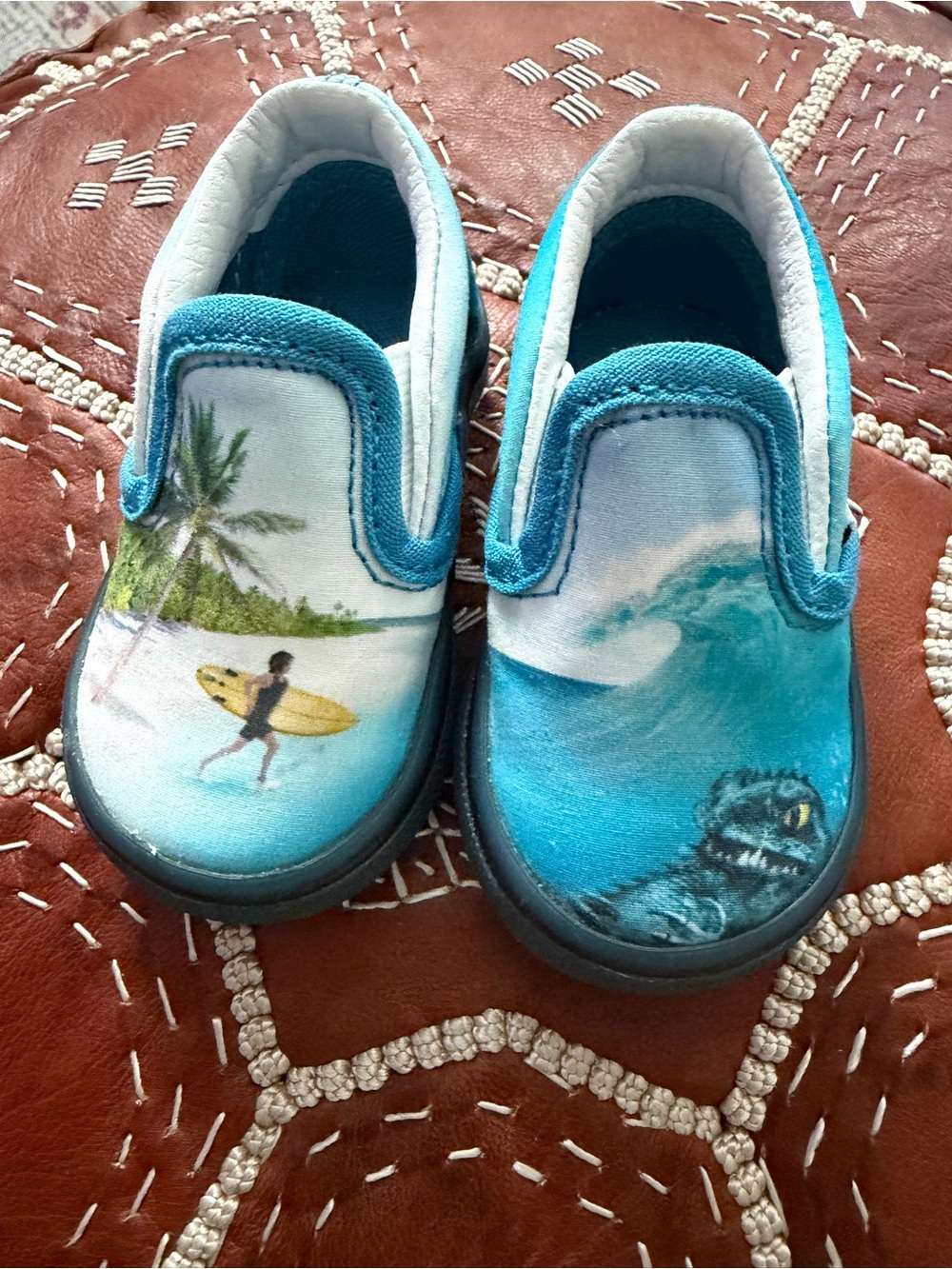 Vans x Molo Surf Monster Classic Slip-On